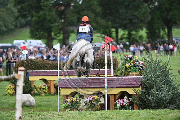 Janneke BOONZAAIJER_ACSI CHAMP DE TAILLEUR_EUR3DE23_91542
