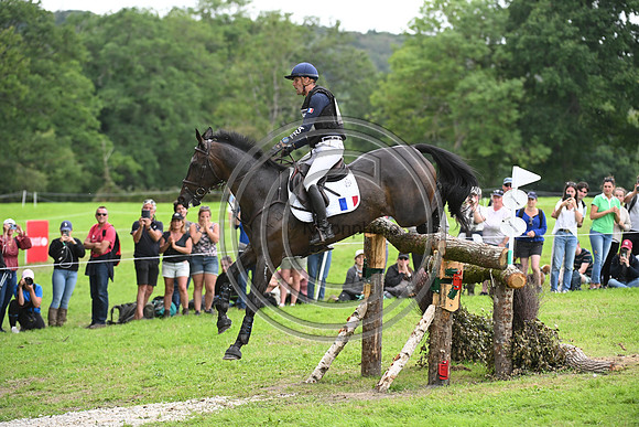 Nicolas TOUZAINT_ABSOLUT GOLD HDC_Eur3DE23_90268