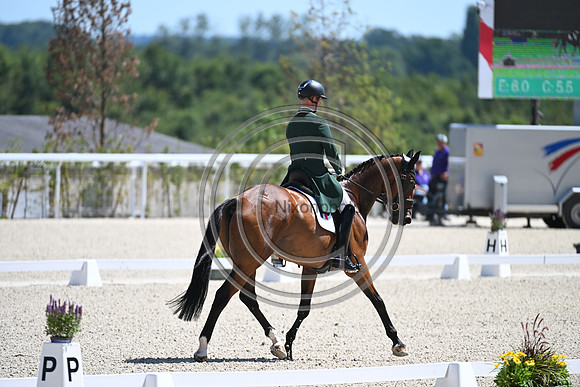Ian CASSELLS_WOODENDFARM JACK O D_Eur3DE23_86787