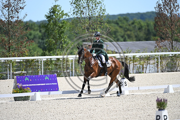 Ian CASSELLS_WOODENDFARM JACK O D_Eur3DE23_86796