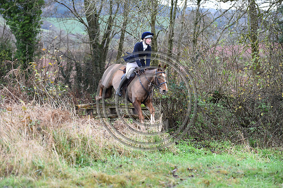 Ludlow_Hunting_210