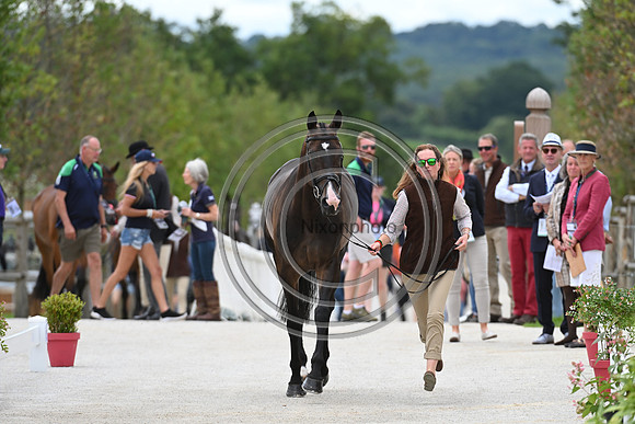 FEI Eventing European Championship
