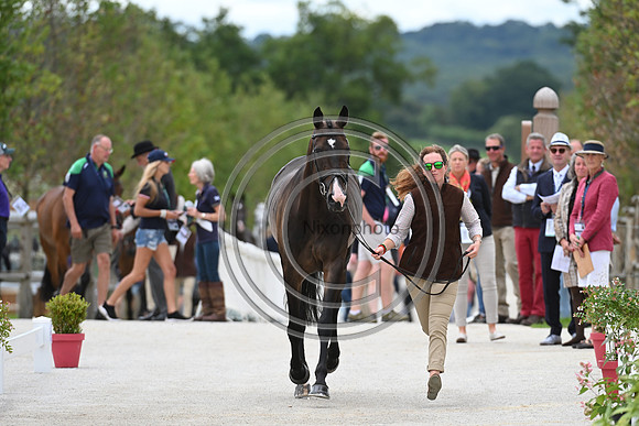 FEI Eventing European Championship