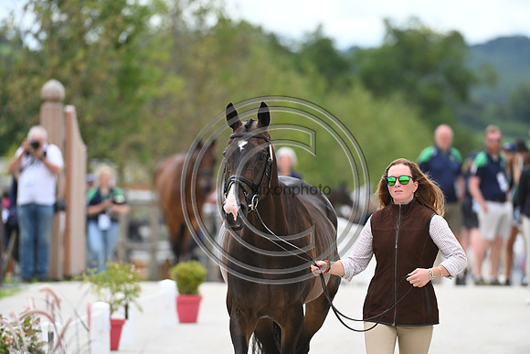 FEI Eventing European Championship