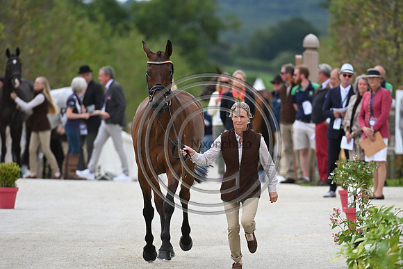 FEI Eventing European Championship