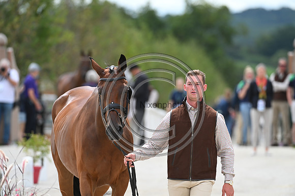 FEI Eventing European Championship
