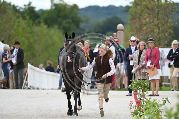 FEI Eventing European Championship
