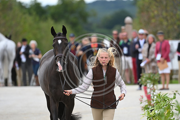 FEI Eventing European Championship