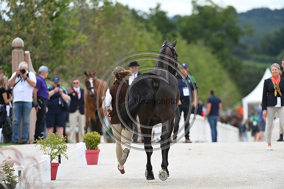FEI Eventing European Championship