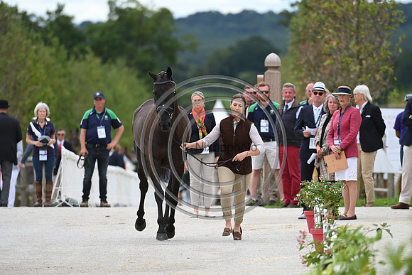 FEI Eventing European Championship