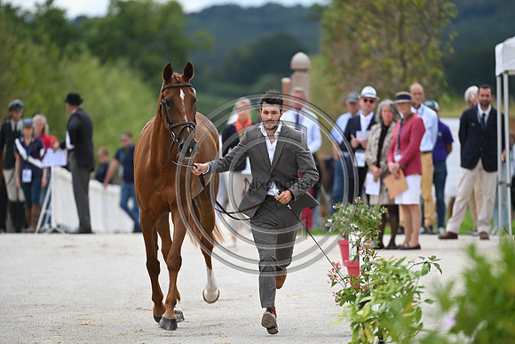 FEI Eventing European Championship
