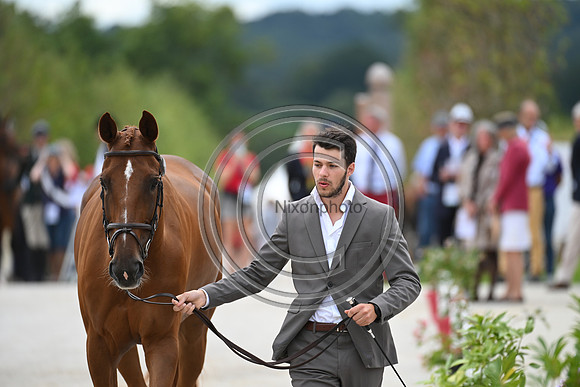 FEI Eventing European Championship