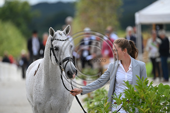 FEI Eventing European Championship