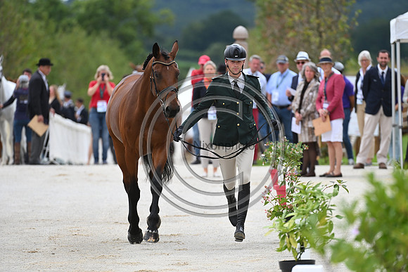 FEI Eventing European Championship