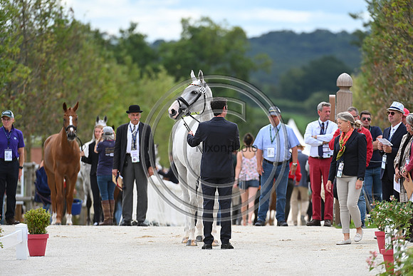 FEI Eventing European Championship