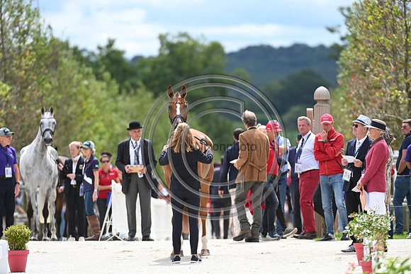 FEI Eventing European Championship