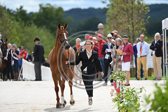 FEI Eventing European Championship