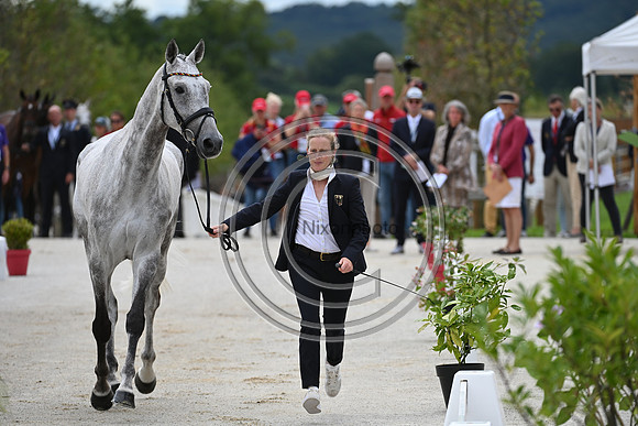 FEI Eventing European Championship