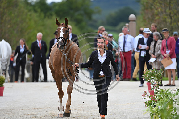 FEI Eventing European Championship