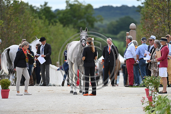 FEI Eventing European Championship