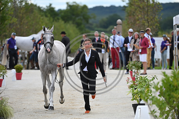 FEI Eventing European Championship