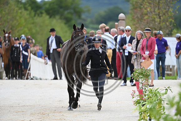 FEI Eventing European Championship