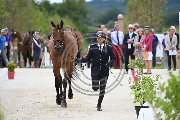 FEI Eventing European Championship