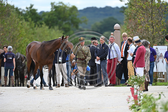 FEI Eventing European Championship