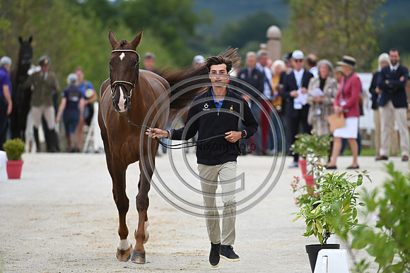 FEI Eventing European Championship