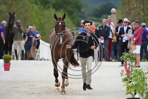 FEI Eventing European Championship