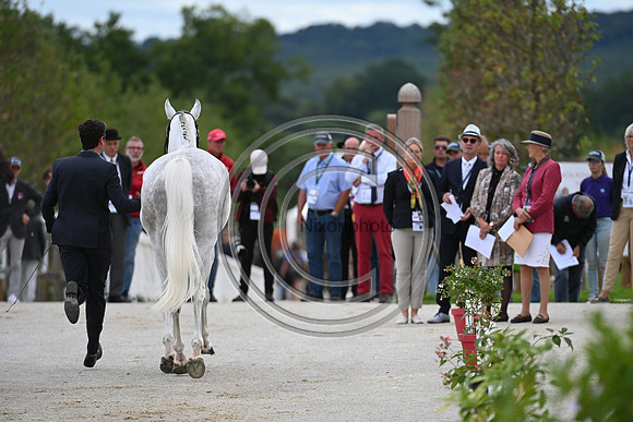 FEI Eventing European Championship