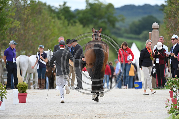 FEI Eventing European Championship