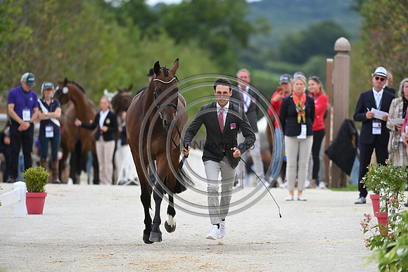 FEI Eventing European Championship