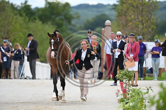 FEI Eventing European Championship