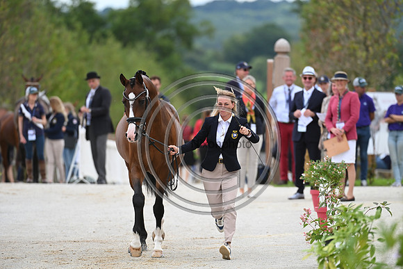 FEI Eventing European Championship