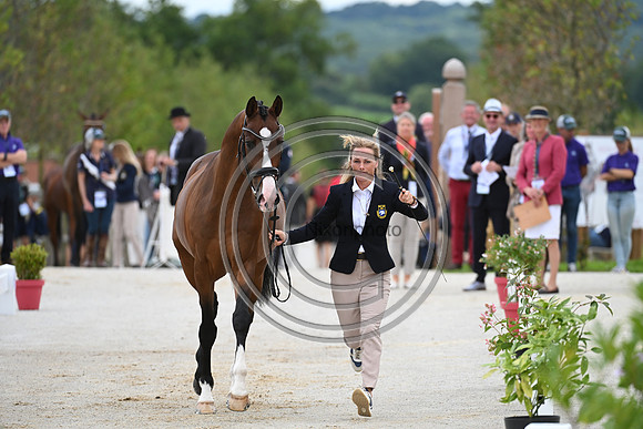 FEI Eventing European Championship
