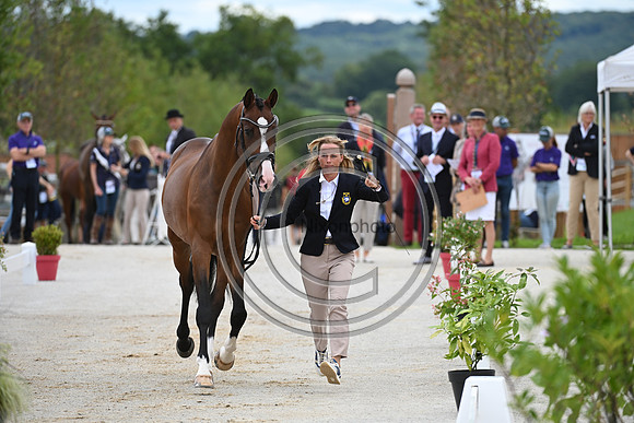 FEI Eventing European Championship