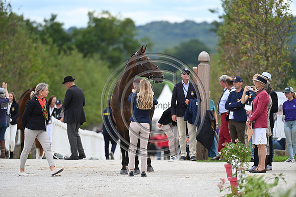 FEI Eventing European Championship