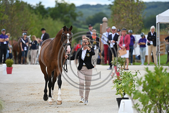 FEI Eventing European Championship