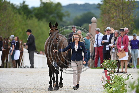 FEI Eventing European Championship