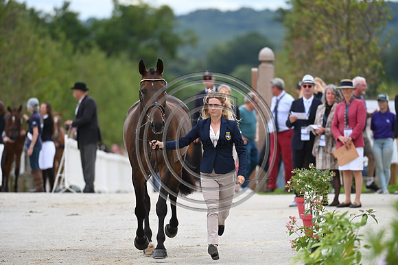 FEI Eventing European Championship