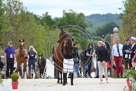 FEI Eventing European Championship