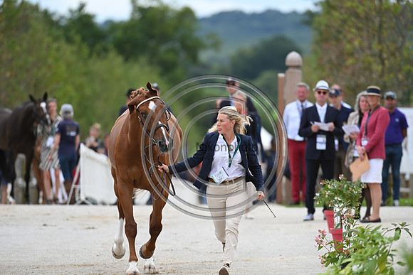 FEI Eventing European Championship