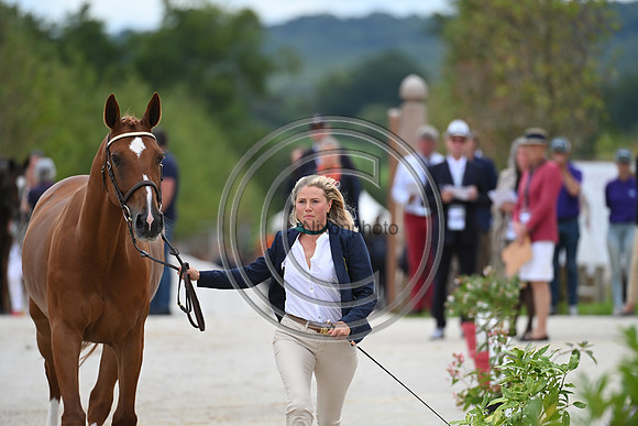FEI Eventing European Championship