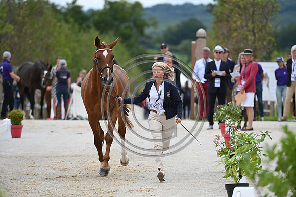 FEI Eventing European Championship