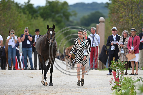 FEI Eventing European Championship