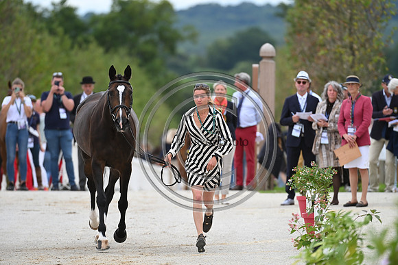 FEI Eventing European Championship