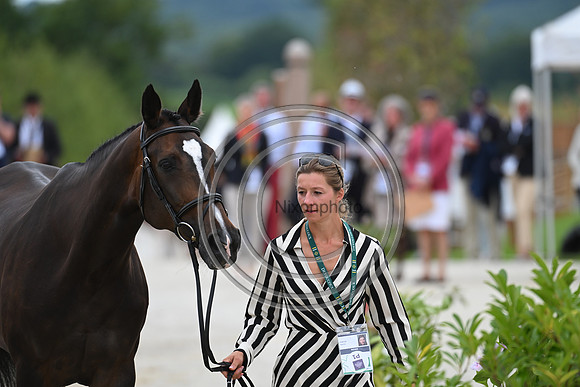 FEI Eventing European Championship
