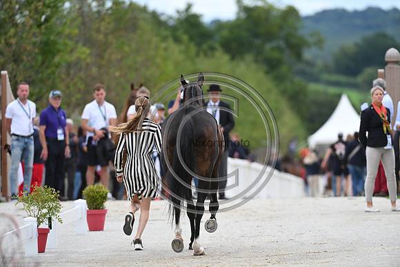 FEI Eventing European Championship