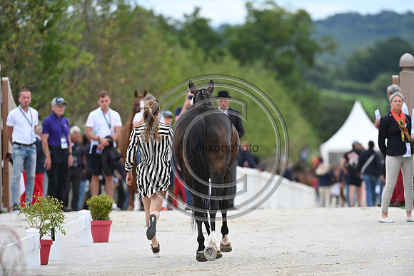 FEI Eventing European Championship